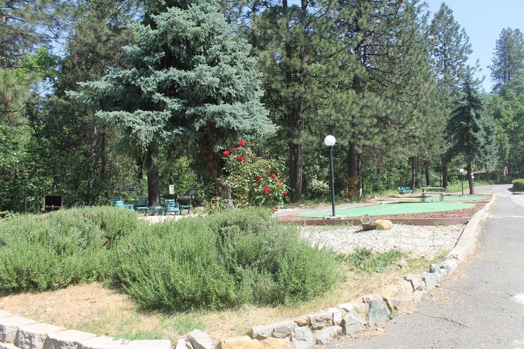 Golden Chain Motel Grass Valley Exterior foto